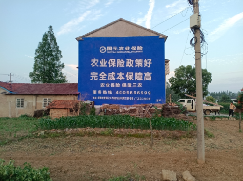 沈丘墙体广告为何受追捧？